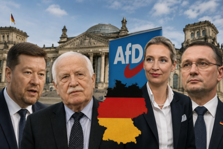 AfD příznivci